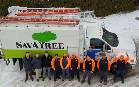 Sav a tree - Territory and Services: Steve works out of SavATree’s Princeton, NJ branch. He provides comprehensive tree care, shrub care and lawn care to areas in and around Princeton. Email: swillard@savatree.com. Phone: (609) 924-2800.